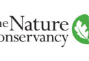 Undergraduate Remote Innovation Internship: $15.00 Per Hour (The Nature Conservancy)