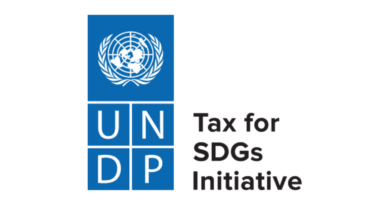 Intern - Tax for SDGs Initiative (3 positions) - Home-based