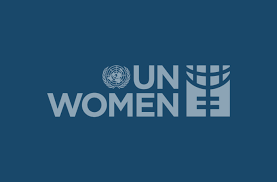Database Analyst Remote Vacancy At UN Women