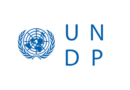 UNDP Data Science Fellowship Opportunity (Home Based)