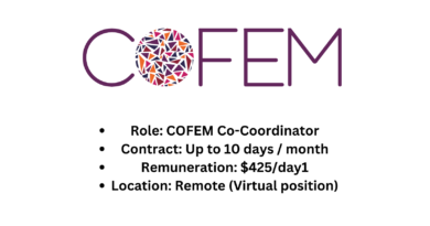 USD $425 A Day Co-Coordinator Remote (Virtual) Position At The Coalition of Feminists for Social Change (COFEM)