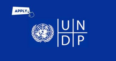 The UNDP Bureau for Policy and Programme Support Is Offering A Home-Based Opportunity To Work As A Project Manager - Progressive Platforms