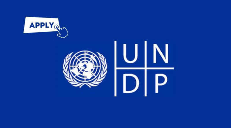 The UNDP Bureau for Policy and Programme Support Is Offering A Home-Based Opportunity To Work As A Project Manager - Progressive Platforms